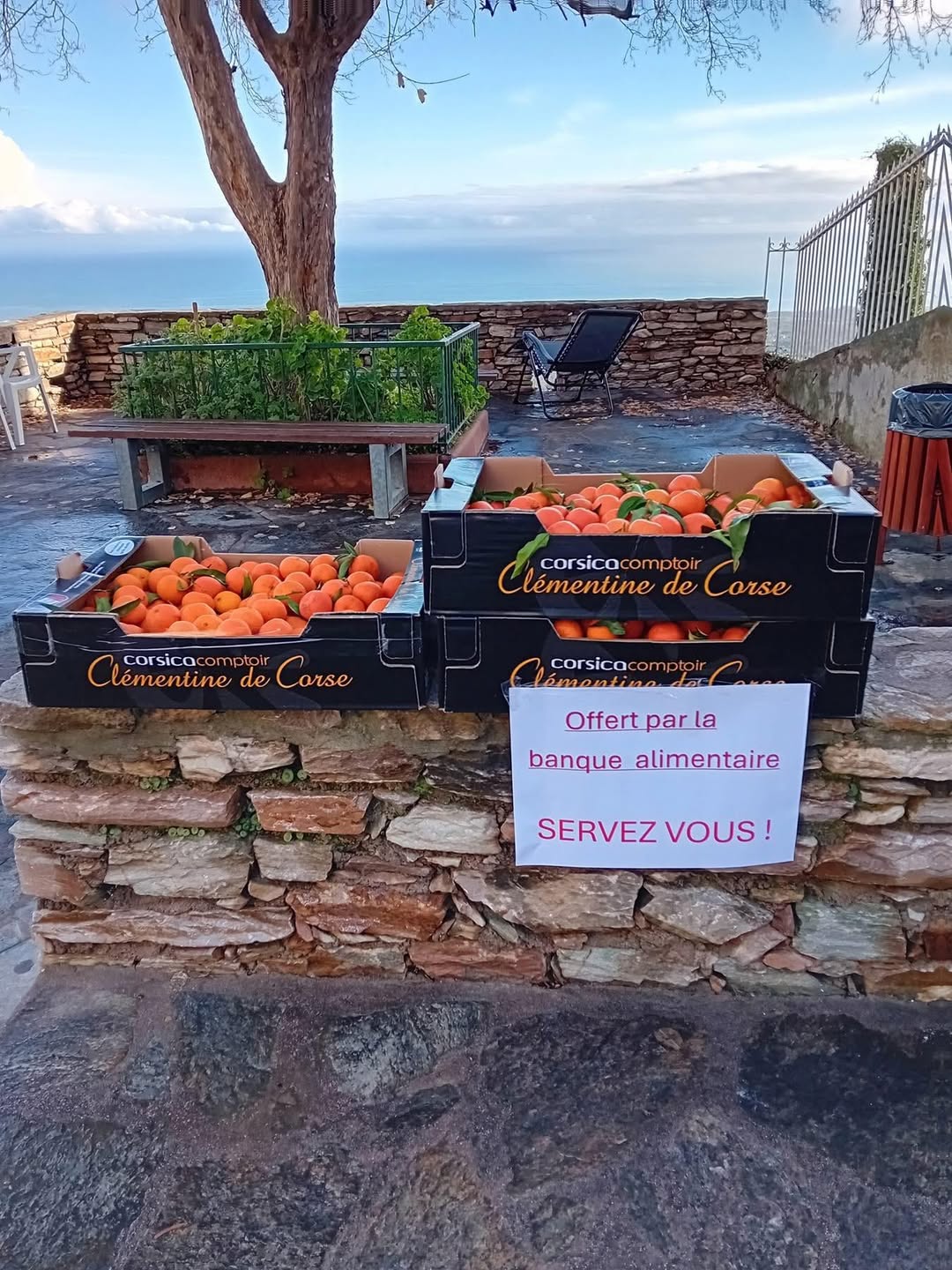 598023757_1570207257736366_1029830720496403989_n