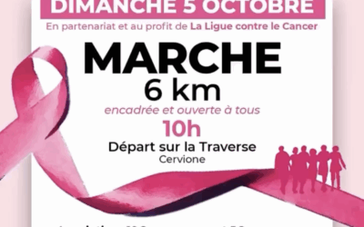 Octobre Rose – Une marche pour la vie 🌸